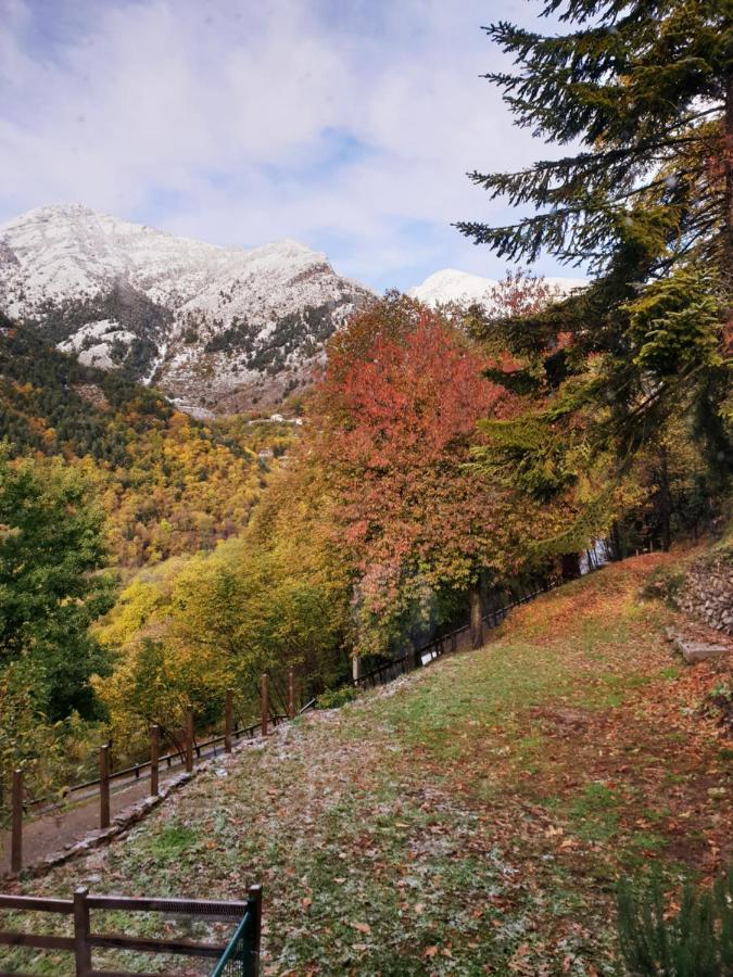Villa Pura Vida Saint-Martin-Vésubie Εξωτερικό φωτογραφία