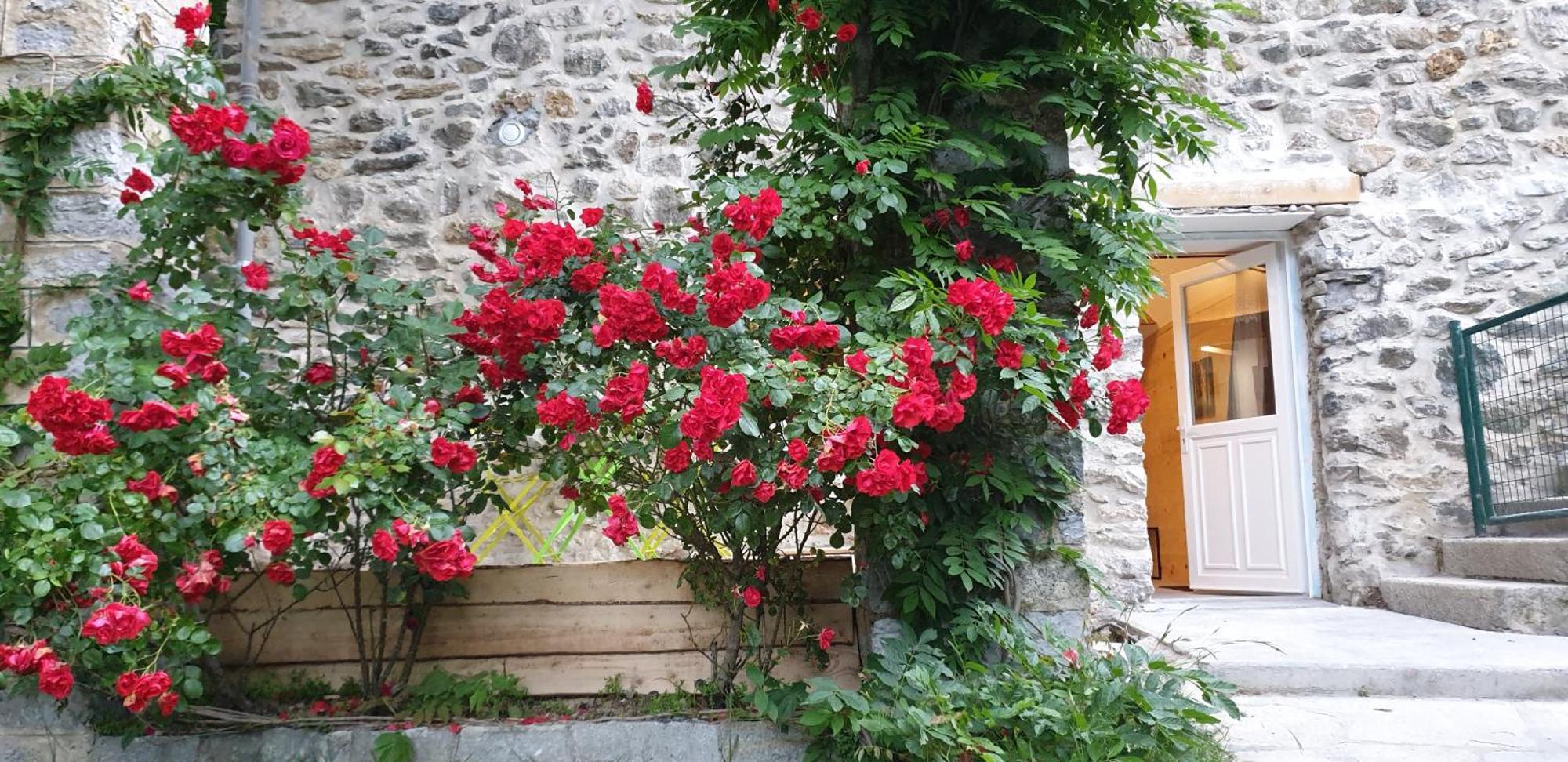 Villa Pura Vida Saint-Martin-Vésubie Δωμάτιο φωτογραφία