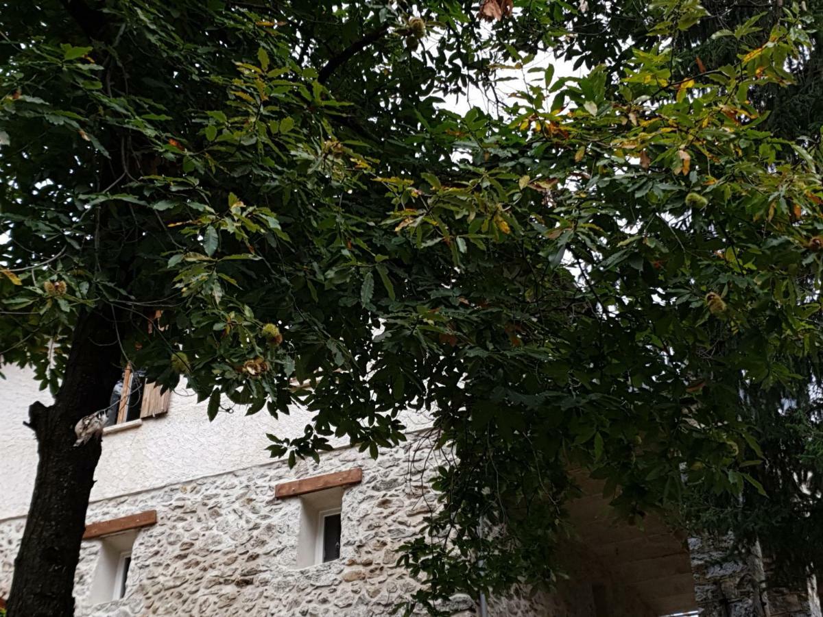 Villa Pura Vida Saint-Martin-Vésubie Εξωτερικό φωτογραφία
